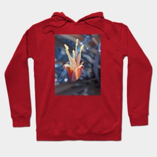 Unique Flower Colorful Photography My Hoodie